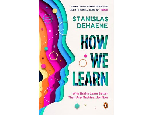 How We Learn: Why Brains Learn Better Than Any Machine . . . for Now