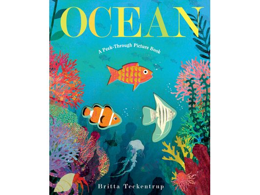 Ocean: A Peek-Through Picture Book