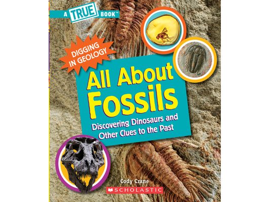 All about Fossils: Discovering Dinosaurs and Other Clues to the Past (a True Book: Digging in Geology)