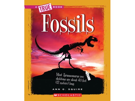 Fossils (a True Book: Earth Science)