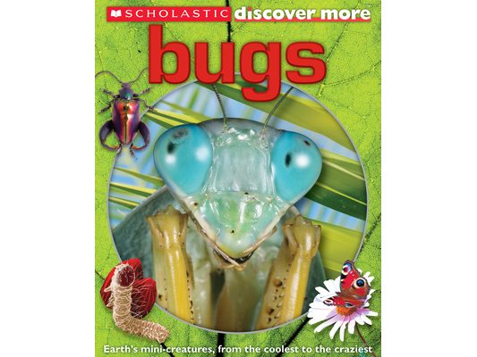 Bugs (Scholastic Discover More)