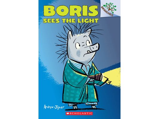Boris Sees the Light: A Branches Book (Boris #4): Volume 4