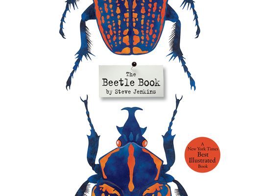 The Beetle Book