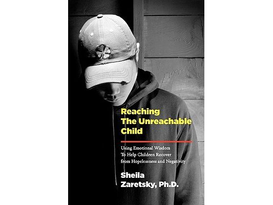 Reaching the Unreachable Child: Using Emotional Wisdom To Help Children Recover from Hopelessness and Negativity