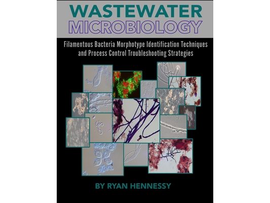 Wastewater Microbiology, Filamentous Bacteria Morphotype Identification Techniques, and Process Control Troubleshooting Strategies