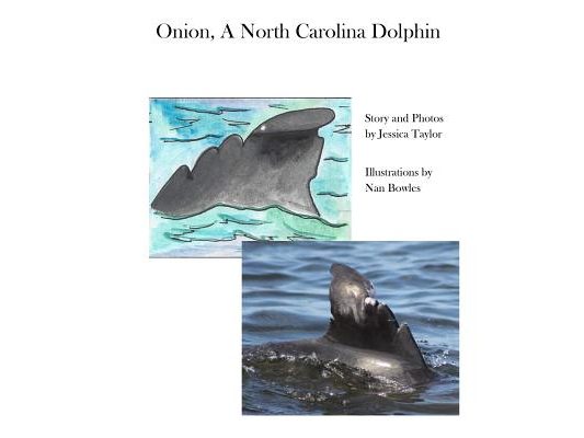 Onion, a North Carolina Dolphin