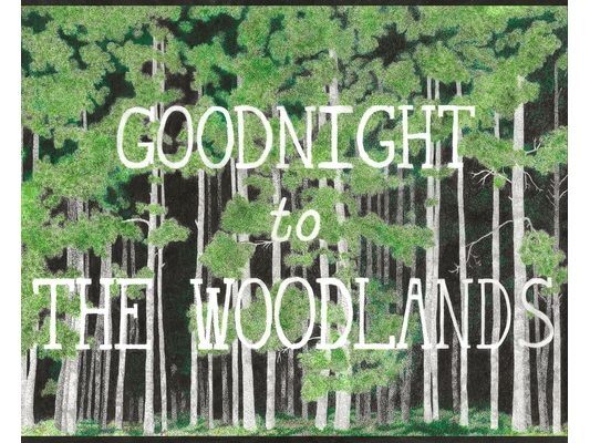 Goodnight to The Woodlands