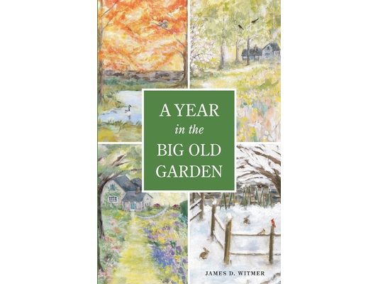 A Year in the Big Old Garden
