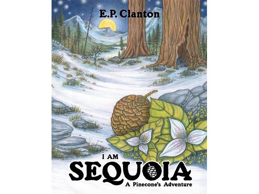 I Am Sequoia - A Pinecone's Adventure