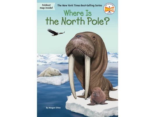 Where Is the North Pole?
