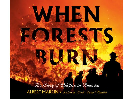 When Forests Burn: The Story of Wildfire in America