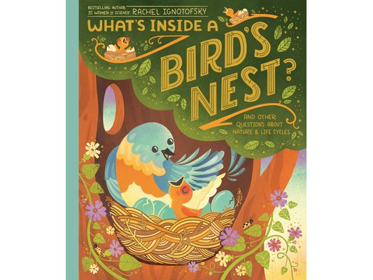What's Inside a Bird's Nest?: And Other Questions about Nature & Life Cycles