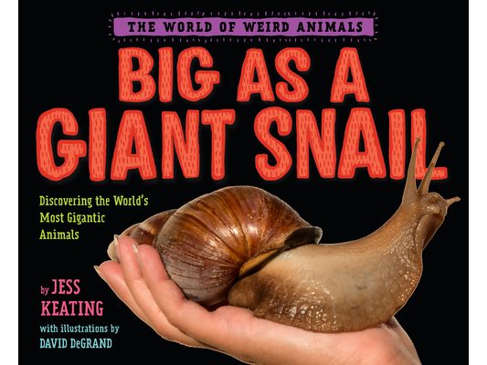 Big as a Giant Snail