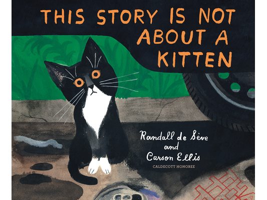This Story Is Not about a Kitten