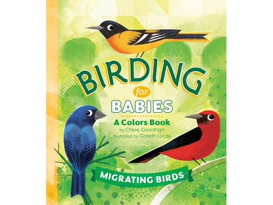 Birding for Babies: Migrating Birds: A Colors Book