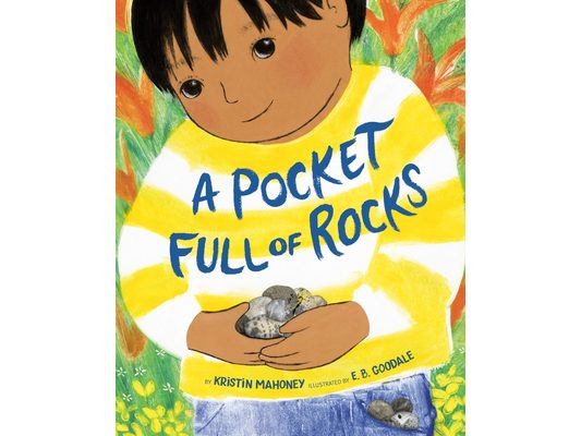 A Pocket Full of Rocks