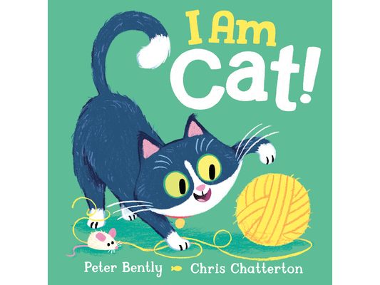 I Am Cat!