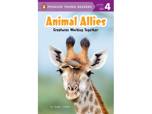Animal Allies: Creatures Working Together