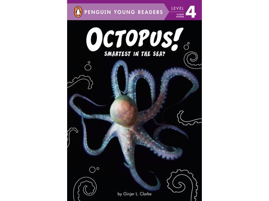 Octopus!: Smartest in the Sea?