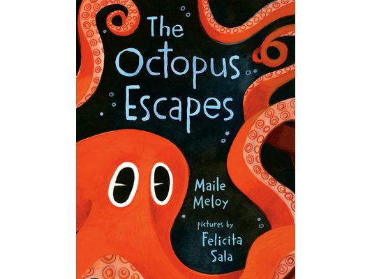 The Octopus Escapes