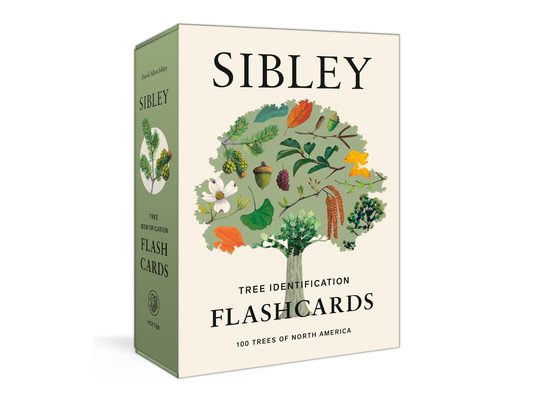 Sibley Tree Identification Flashcards: 100 Trees of North America