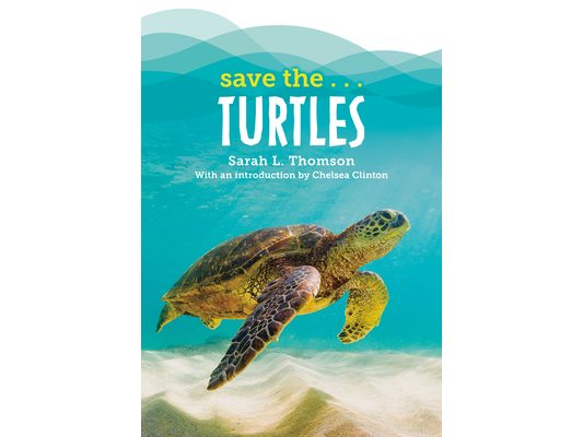 Save The...Turtles