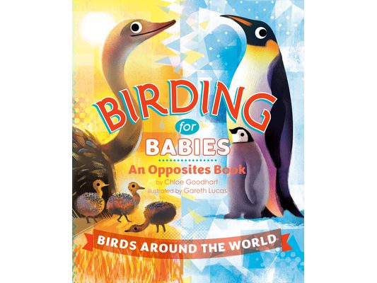Birding for Babies: Birds Around the World: An Opposites Book