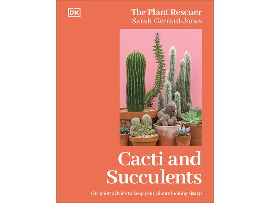 Cacti and Succulents: On-Point Advice to Keep Your Plants Looking Sharp