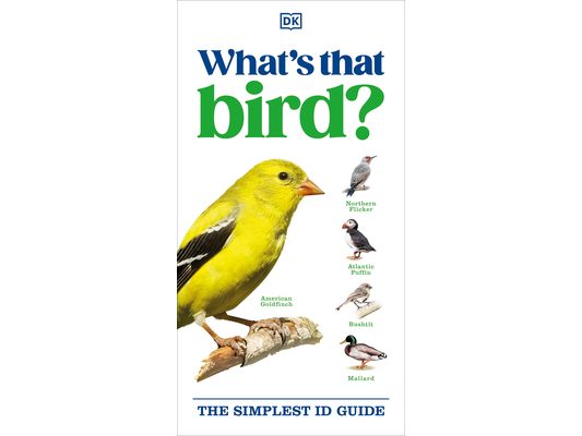 What's That Bird?