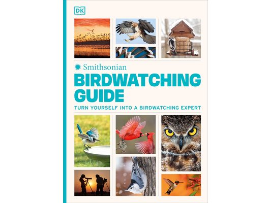 Birdwatching Guide: Turn Yourself Into a Birdwatching Expert