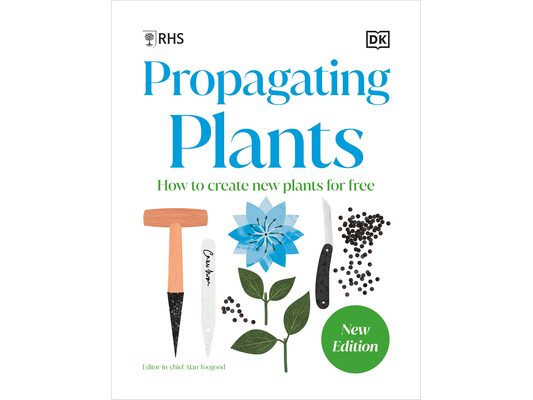 Propagating Plants: How to Grow Plants for Free
