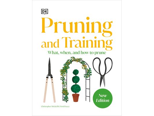Pruning and Training: What, When, and How to Prune