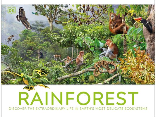 Rainforest