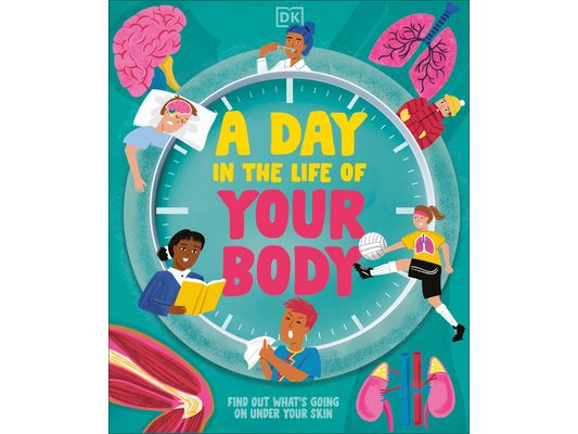 A Day in the Life of Your Body: Find Out What's Going on Under Your Skin