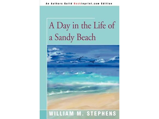 A Day in the Life of a Sandy Beach