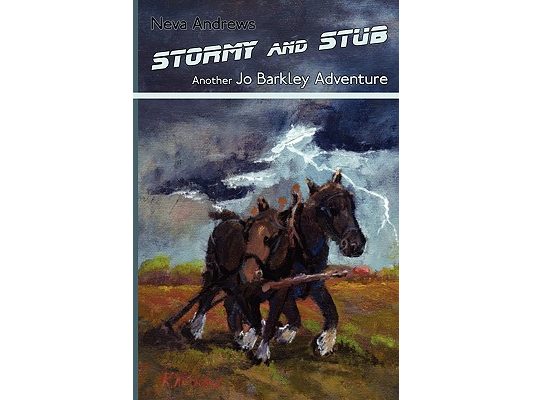 Stormy and Stub: Another Jo Barkley Adventure