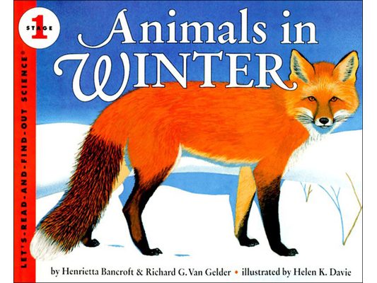 Animals in Winter
