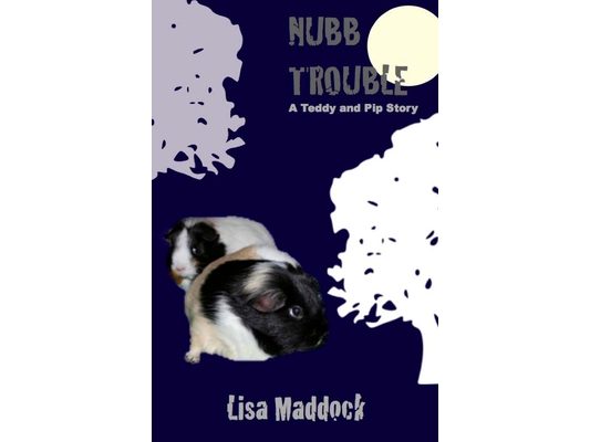 Nubb Trouble: A Teddy and Pip Story