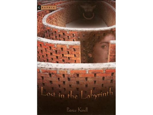 Lost in the Labyrinth