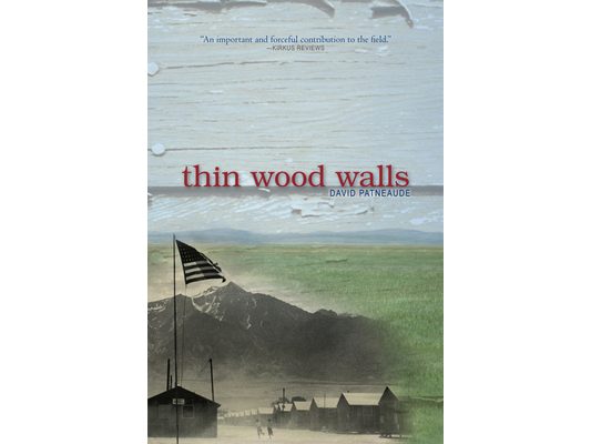 Thin Wood Walls