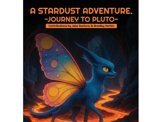 A Stardust Adventure: Journey to Pluto