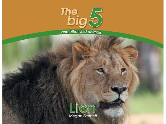 Lion: The Big 5 and other wild animals