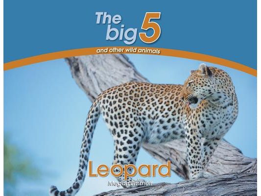 Leopard: The Big 5 and other wild animals