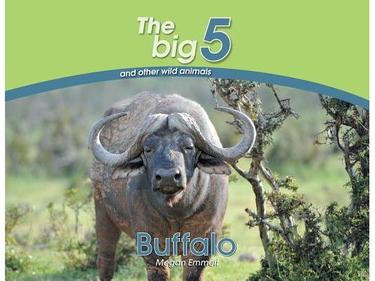 Buffalo: The Big 5 and other wild animals
