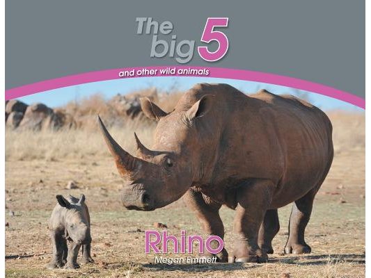Rhino: The Big 5 and other wild animals