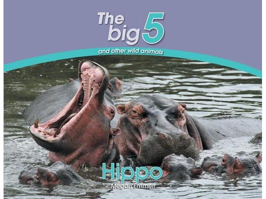 Hippo: The Big 5 and other wild animals