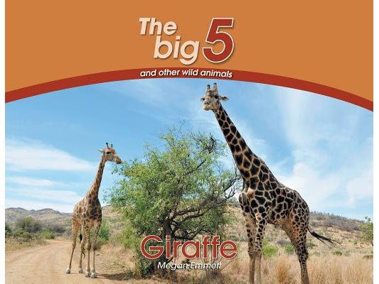 Giraffe: The Big 5 and other wild animals