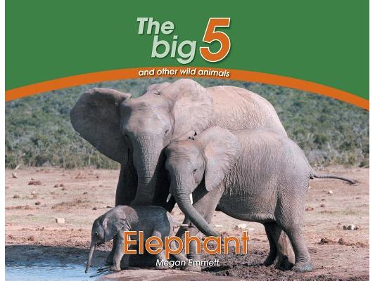 Elephant: The Big 5 and other wild animals