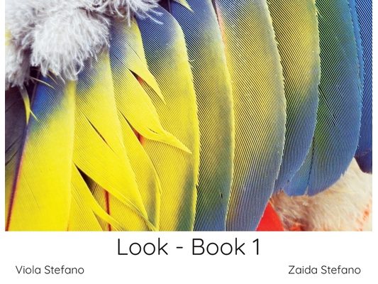 Look - Book 1