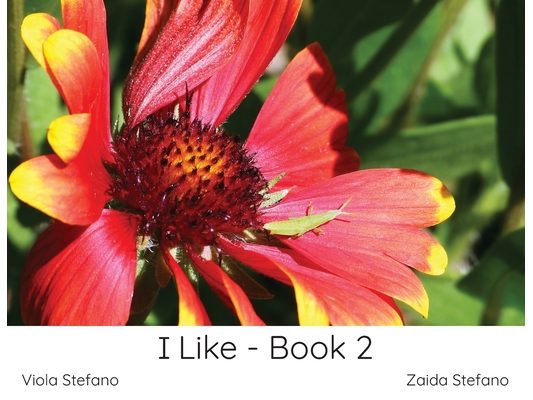 I Like - Book 2